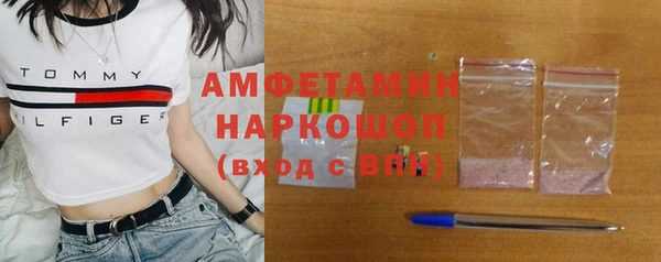 твердый Арсеньев
