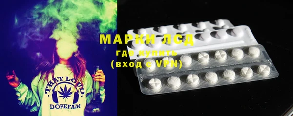 твердый Арсеньев