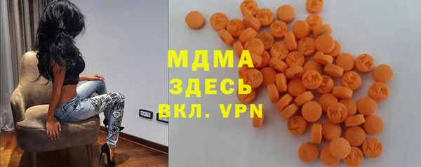 стаф Алзамай