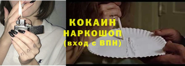 твердый Арсеньев