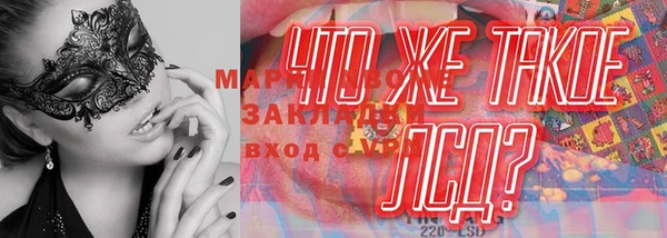 твердый Арсеньев