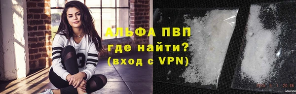 твердый Арсеньев